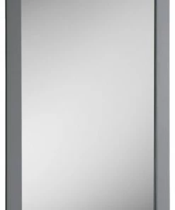 Cheapest 🥰 Fresca Manchester 20" Gray Mirror 💯
